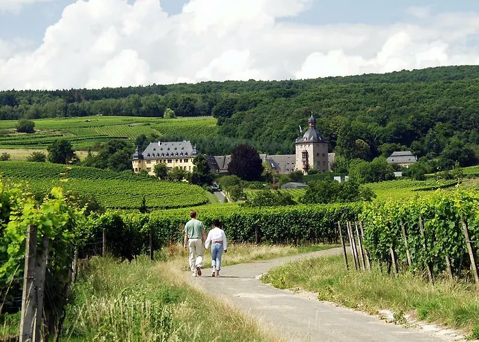 Affittacamere Pension-allendorf 3*